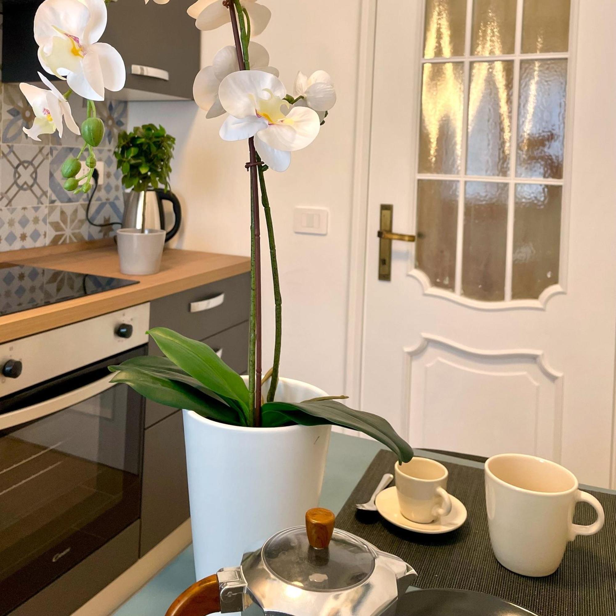 Lazy Time Apartment Rome Luaran gambar